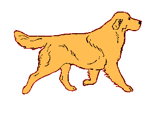 Golden retriever, akc, Breeder, legend golden retrievers, AKC, Breeder, AKC breeder, AKC breeder of Merit, Legend, Legenddogs, Legend Goldens, Legend golden retrievers, golden retriever, golden retriever puppies, golden retriever puppies for sale, golden retriever puppy, english cream golden retriever, mini golden retriever, red golden retriever, black golden retriever, white golden retriever, golden retriever puppies for sale near me, golden retriever puppies near me, english golden retriever, golden retriever price, golden retriever doggy, golden retriever for sale, golden retriever lifespan, miniature golden retriever, golden retriever breeders, baby golden retriever, cute golden retriever, golden retriever baby, golden retriever bf, golden retriever breeders near me, golden retriever dog, golden retriever near me, golden retriever vs labrador, puppy golden retriever, red golden retriever puppies, American golden retriever, golden retriever colors, golden retriever puppy near me, canadian golden retriever, cream golden retriever, field golden retriever, golden retriever breeder, golden retriever for sale near me, golden retriever puppies ohio, golden retriever weight, brown golden retriever, dark golden retriever, english cream golden retriever puppies for sale, golden retriever boy, golden retriever breeder near me, golden retriever energy, golden retriever personality, golden retriever pup for sale, golden retriever puppies nc, golden retriever puppy for sale, labrador vs golden retriever
AKC, Breeder, AKC breeder, AKC breeder of Merit, Legend, Legenddogs, Legend Goldens, Legend golden retrievers, golden retriever puppies, golden retriever puppies for sale, golden retriever puppy, golden retriever puppies for sale near me, golden retriever puppies near me, puppy golden retriever, red golden retriever puppies, golden retriever puppy near me, golden retriever puppies ohio, english cream golden retriever puppies for sale, golden retriever puppies nc, golden retriever puppy for sale, golden retriever puppies for sale $200, white golden retriever puppies, cute golden retriever puppies, english cream golden retriever puppies, golden retriever puppies indiana, golden retriever puppies mn, golden retriever puppies wisconsin, golden retriever puppy price, puppy for sale golden retriever, english golden retriever puppies, golden retriever puppies az, golden retriever puppies colorado, golden retriever puppies florida, golden retriever puppies georgia, golden retriever puppies oregon, golden retriever puppy for sale near me, labrador puppy vs golden retriever, red golden retriever puppies for sale, akc golden retriever puppies, golden retriever puppies iowa, golden retriever puppies price, black golden retriever puppy, cute golden retriever puppy, golden retriever puppies near me for sale, golden retriever puppies virginia, labrador golden retriever puppy, royal canin golden retriever puppy, cream golden retriever puppies, golden retriever puppies alabama, golden retriever puppies ct, golden retriever puppies houston, golden retriever puppies illinois, golden retriever puppies maine, golden retriever puppies michigan, golden retriever puppies photos, golden retriever puppies san diego, golden retriever puppies texas, golden retriever puppy photos, newborn golden retriever puppies, golden retriever puppies for sale in michigan, golden retriever puppies in michigan, golden retriever puppies for sale in ohio, AKC, Breeder, AKC breeder, AKC breeder of Merit, Legend, Legenddogs, Legend Goldens, Legend golden retrievers, , golden retriever puppies for sale, golden retriever puppies for sale near me, golden retriever for sale, golden retriever for sale near me, english cream golden retriever puppies for sale, golden retriever pup for sale, golden retriever puppy for sale, golden retriever puppies for sale $200, puppy for sale golden retriever, golden retriever puppy for sale near me, golden retriever pups for sale near me, red golden retriever puppies for sale, golden retriever sale, miniature golden retriever for sale, golden retriever puppies near me for sale, adult golden retriever for sale, english cream golden retriever for sale, english golden retriever puppies for sale, golden retriever dogs for sale, golden retriever near me for sale, red golden retriever for sale, english cream golden retriever puppies for sale near me, white golden retriever puppies for sale, golden retriever litter for sale, golden retriever puppies for sale in pa, golden retriever puppies for sale los angeles, miniature golden retriever for sale near me, black golden retriever puppies for sale, golden retriever on sale, golden retriever puppies for sale in michigan, golden retriever puppies for sale in mn, golden retriever puppies for sale in texas, baby golden retriever for sale, black golden retriever for sale, black golden retriever puppy for sale, english golden retriever for sale, golden retriever puppies for sale $500, golden retriever puppies for sale chicago, golden retriever puppies for sale in nc, golden retriever puppies for sale in nj, golden retriever puppies for sale in ohio, golden retriever puppies for sale near me under $500, golden retriever puppies sale, mini golden retriever for sale near me, small golden retriever for sale, dark red golden retriever puppies for sale, golden retriever puppies for sale in az, golden retriever puppies for sale in ct, golden retriever puppies for sale michigan, golden retriever puppies for sale ohio, golden retriever puppies in michigan for sale, golden retriever breeders, AKC, Breeder, AKC breeder, AKC breeder of Merit, Legend, Legenddogs, Legend Goldens, Legend golden retrievers, golden retriever breeders near me, golden retriever breeders florida, golden retriever breeders colorado, golden retriever breeders in ma, golden retriever breeders texas, best golden retriever breeders, english cream golden retriever breeders, golden retriever breeders georgia, golden retriever breeders in pa, golden retriever breeders nc, golden retriever breeders ohio, golden retriever breeders wisconsin, golden retriever breeders california, golden retriever breeders ct, golden retriever breeders illinois, golden retriever breeders michigan, golden retriever breeders mn, golden retriever breeders nj, golden retriever breeders indiana, golden retriever breeders va, red golden retriever breeders, golden retriever breeders az, golden retriever breeders in nh, golden retriever breeders maryland, golden retriever breeders ny, golden retriever breeders oregon, golden retriever breeders sc, golden retriever breeders washington, akc golden retriever breeders, english cream golden retriever breeders near me, english golden retriever breeders, golden retriever breeders north carolina, golden retriever dog breeders near me, mini golden retriever breeders, golden retriever breeders alabama, golden retriever breeders in iowa, golden retriever breeders in maine, golden retriever breeders in mn, golden retriever breeders in nc, golden retriever breeders in new england, golden retriever breeders in tn, golden retriever breeders minnesota, golden retriever breeders missouri, golden retriever breeders new england, golden retriever puppy breeders, wisconsin golden retriever breeders, field golden retriever breeders, golden retriever breeders houston,