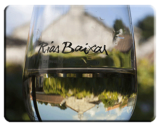 Of the landscape, festivals and gastronomy ENJOY