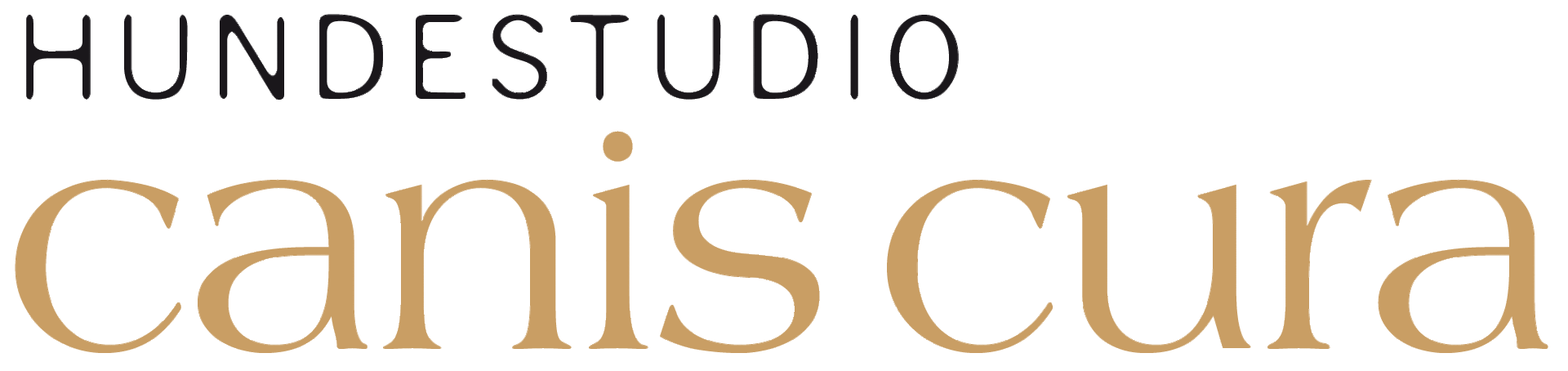 Hundestudio Canis Cura