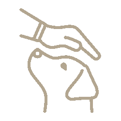 Das Bild zeigt das Pictogramm mit einer schützenden Hand über dem Kopf eines Hundes