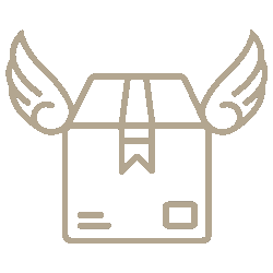 Das Bild zeigt das Pictogramm mit einem Paket