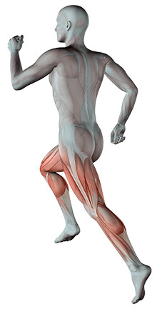 suelos de parquet y corcho comodidad al andar suelos de parquet y corcho comodidad al andar