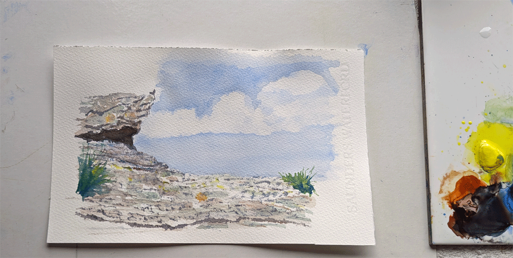 An alternative background idea for the Puffin designs. Rocky costal cliff watercolour painting