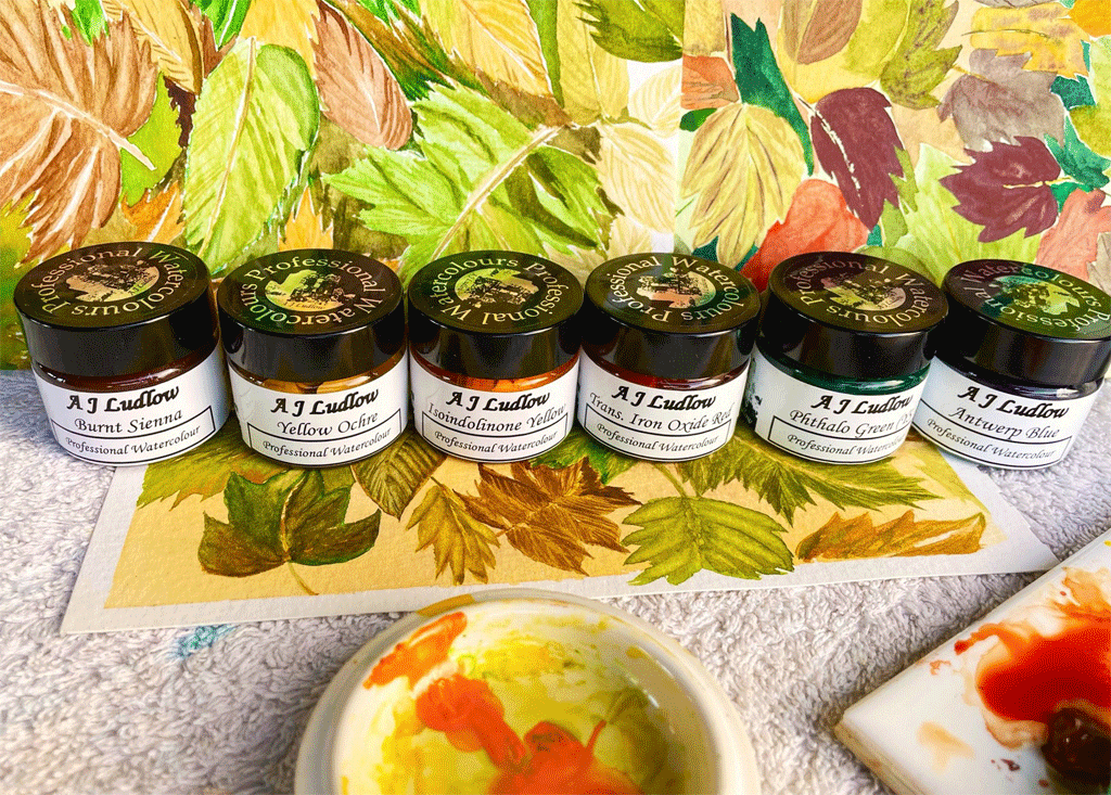 An autumn palette of A J Ludlow Professional Watercolours.