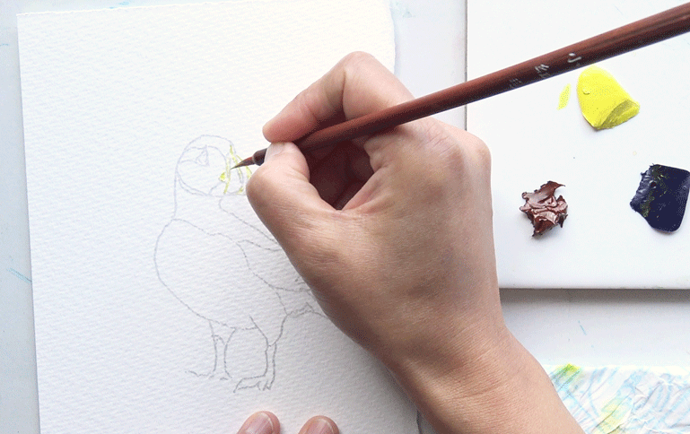 Painting the pencil drawn Puffin design from the A J Ludlow Watercolour Painting sets