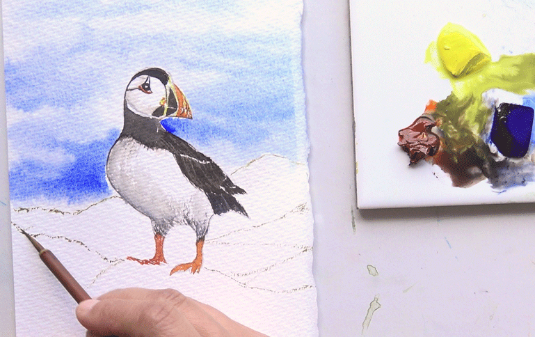 Painting the ground around the pencil drawn Puffin design from the A J Ludlow Watercolour Painting sets