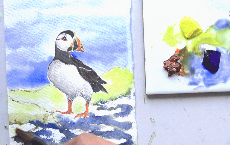 The finished watercolour painting of the pencil drawn Puffin design from the A J Ludlow Watercolour Painting sets