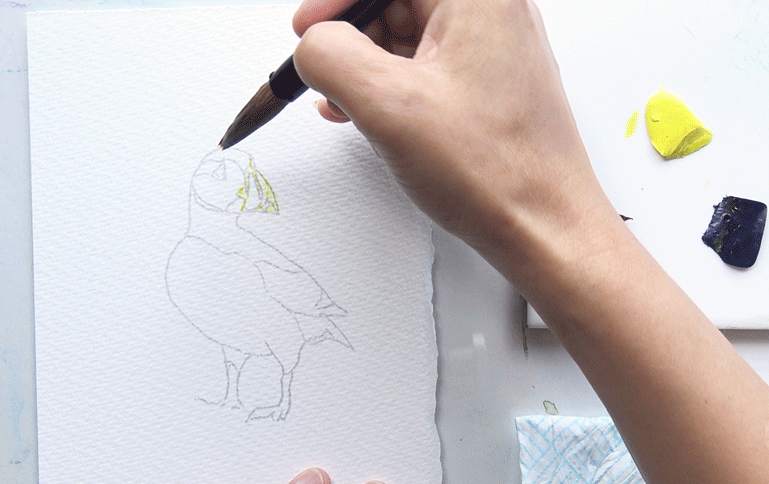Painting the pencil drawn Puffin's head from the A J Ludlow Watercolour Painting sets