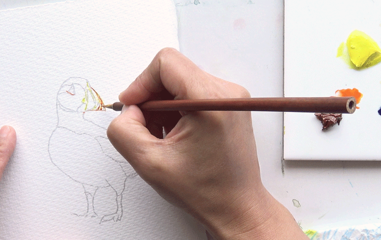 Painting the pencil drawn Puffin's beak from the A J Ludlow Watercolour Painting sets