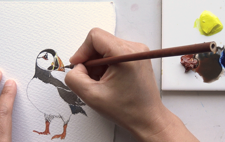 Adding finishing touches to the pencil drawn Puffin design from the A J Ludlow Watercolour Painting sets