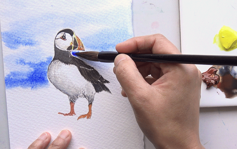 Painting the sky around the pencil drawn Puffin design from the A J Ludlow Watercolour Painting sets
