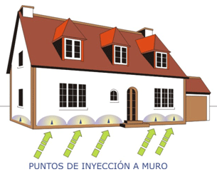 tratamiento termitas en casa tratamiento termitas en casa
