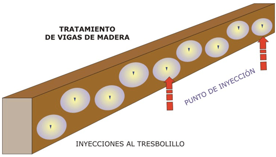 tratamiento termitas en vigas tratamiento termitas en vigas