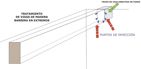 tratamiento termitas madera tratamiento termitas madera