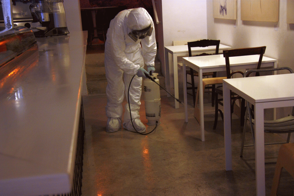 Técnico de control de plagas para empresas Técnico de control de plagas para empresas