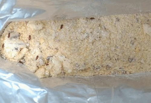 gusanos larvas en la cocina gusanos larvas en la cocina