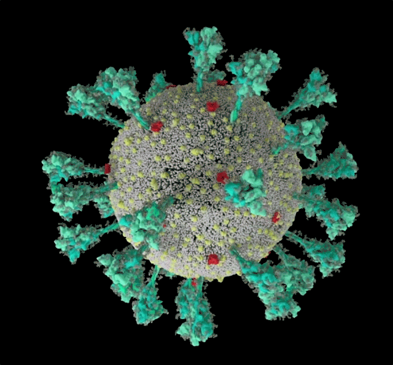 SARS-CoV-2 Computer-Animation SARS-CoV-2 Computer-Animation