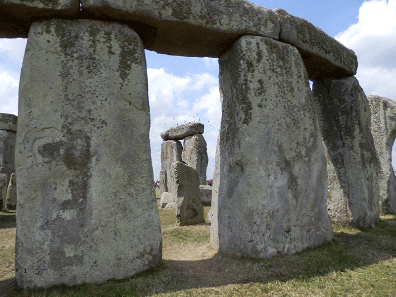 Reinkarnation, Die weisse Büffelfrau,