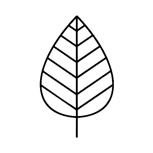 Symbol eines Blattes Symbol eines Blattes