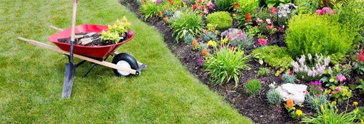 PEPINIERE DES ASPRES GRASSE ALPES MARITIMES 2024 JARDINERIE