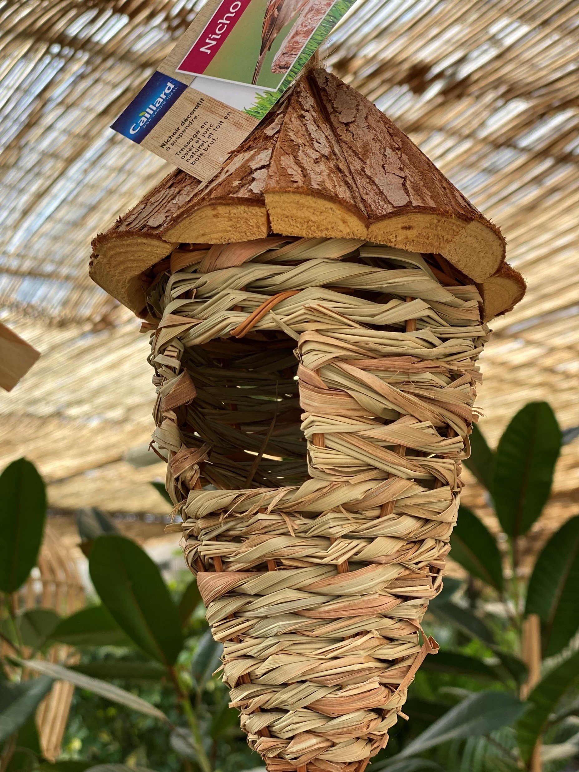 PEPINIERE DES ASPRES GRASSE JARDINERIE ALPES MARITIMES 2024