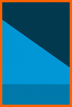 Limited offer will portal