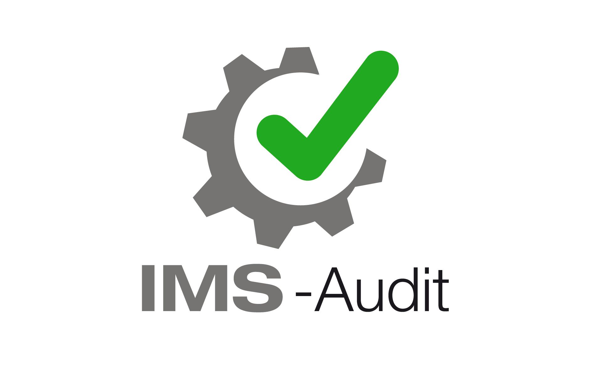 IMS-Audit - Die perfekte Audit Management-Software