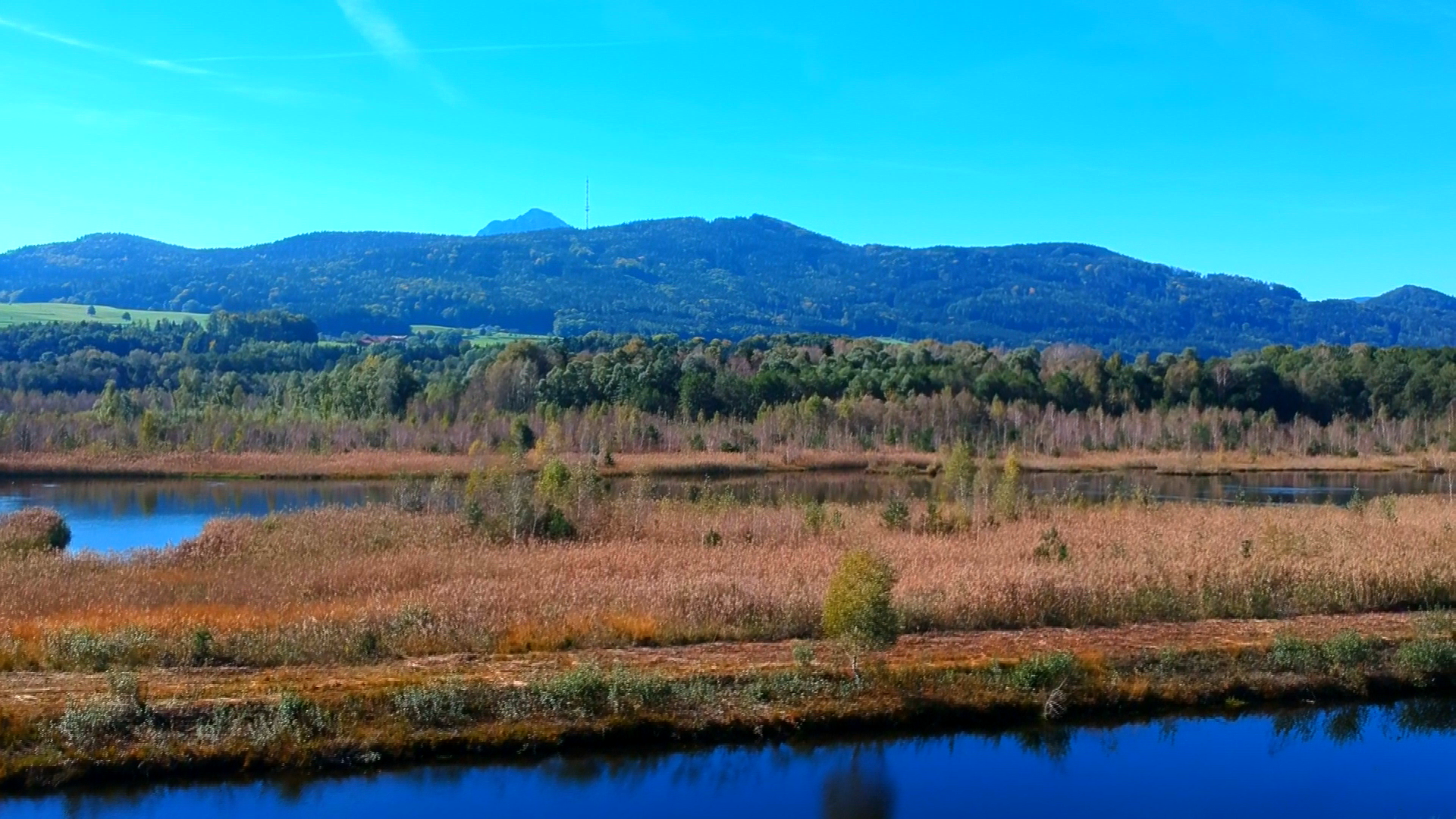 Blick auf Ainringer Moos, Hintergrund Högl und Staufen