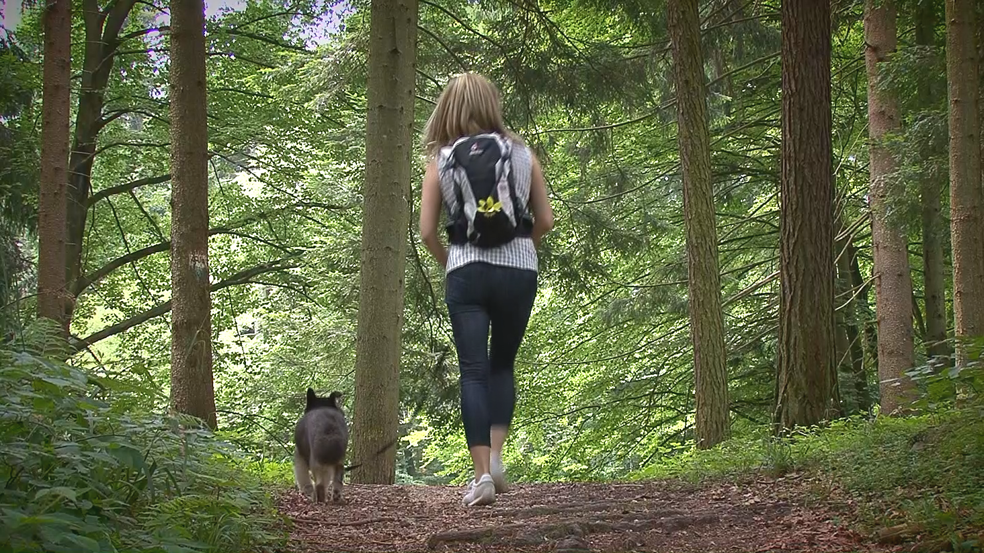 Wandern am Nordhang des Högl