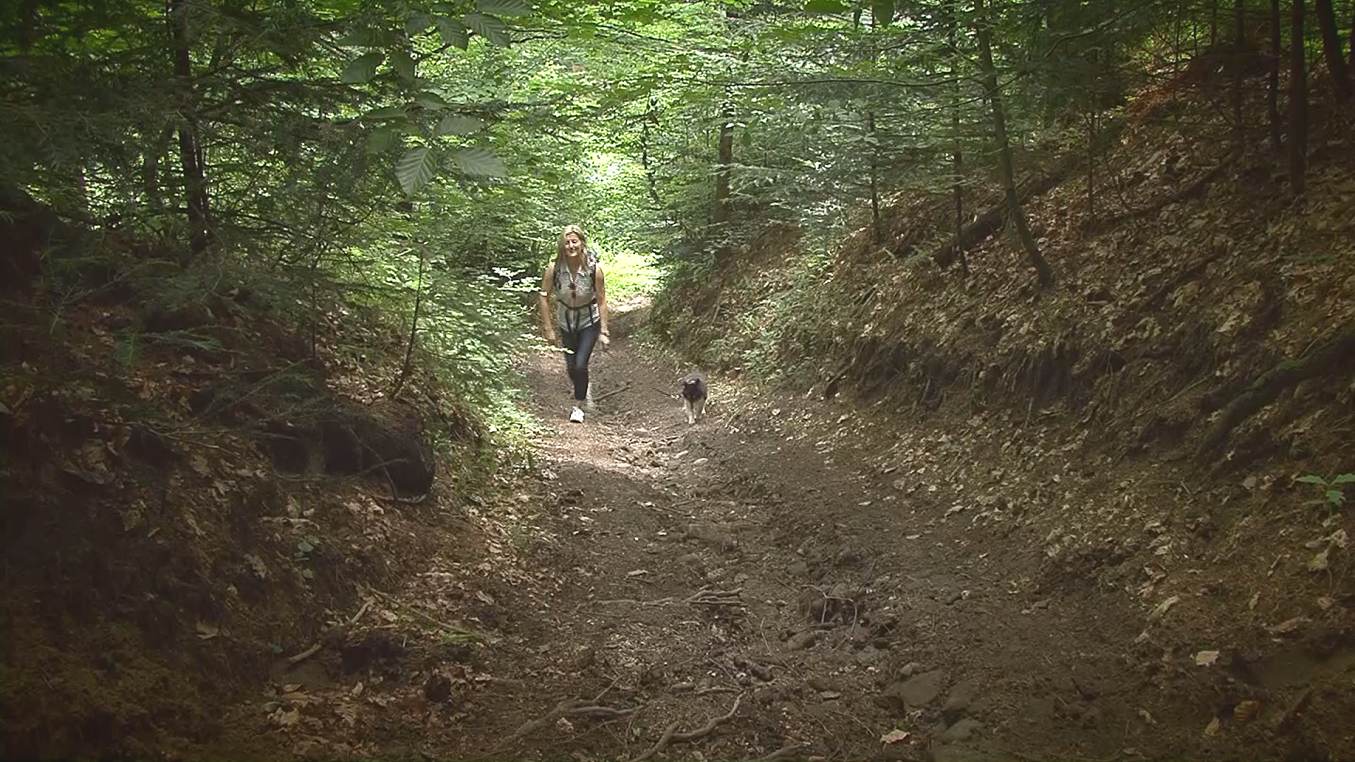Wanderweg Nordseite des Högl Ainring