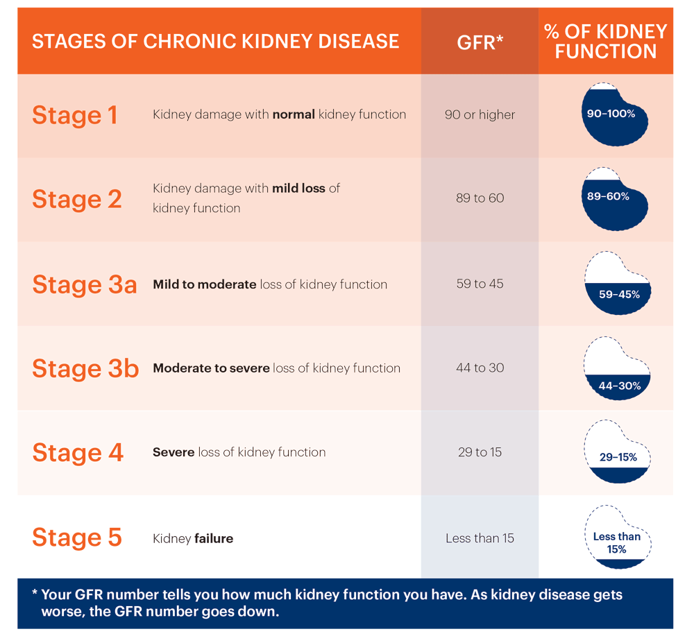 Stages of Chronic Kidney Disease