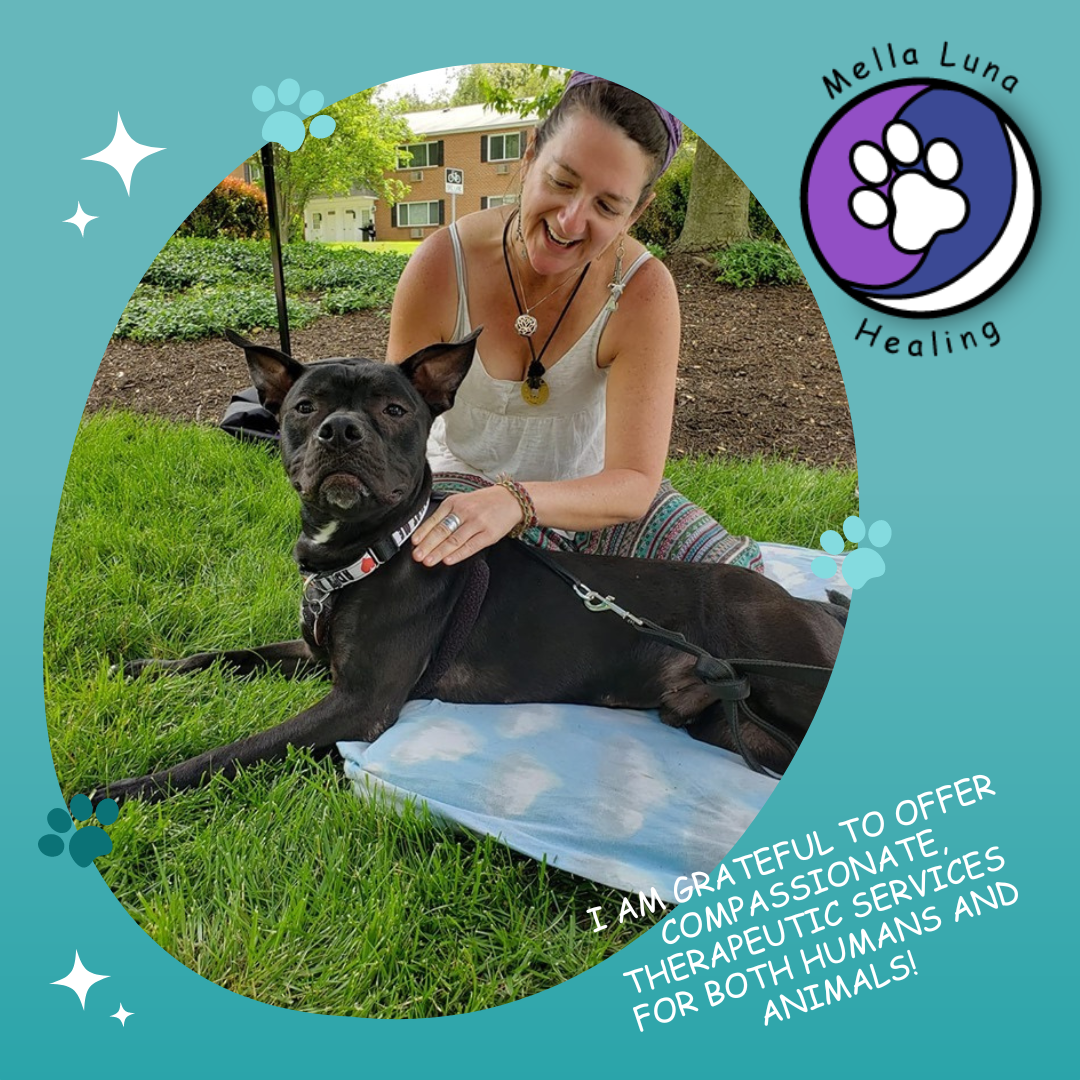 farmer girl web design portfolio mella luna healing