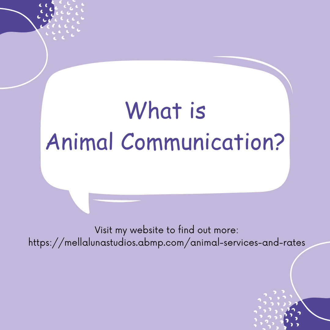 farmer girl web design portfolio mella luna healing