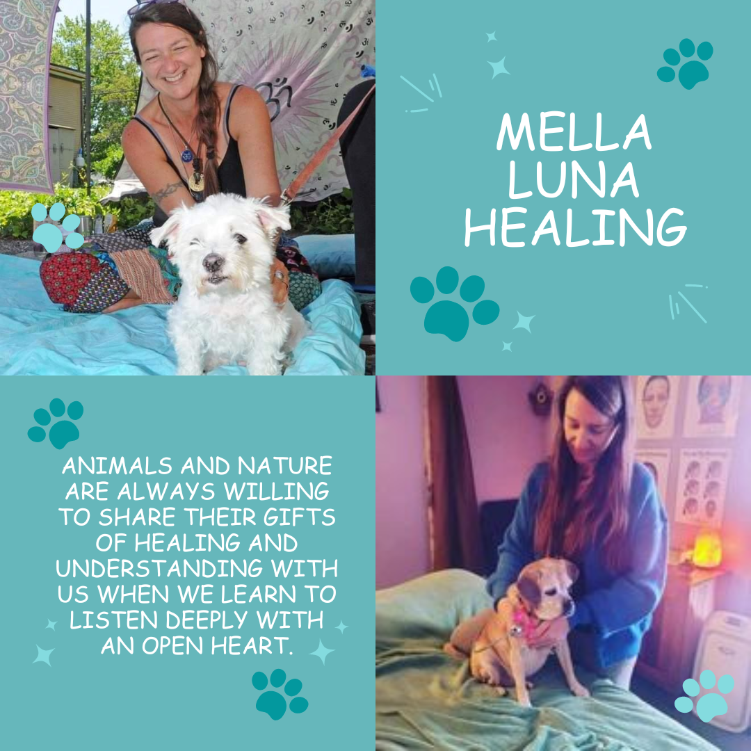 farmer girl web design portfolio mella luna healing