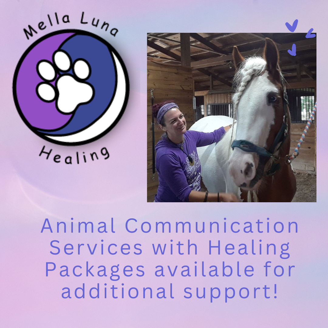 farmer girl web design portfolio mella luna healing