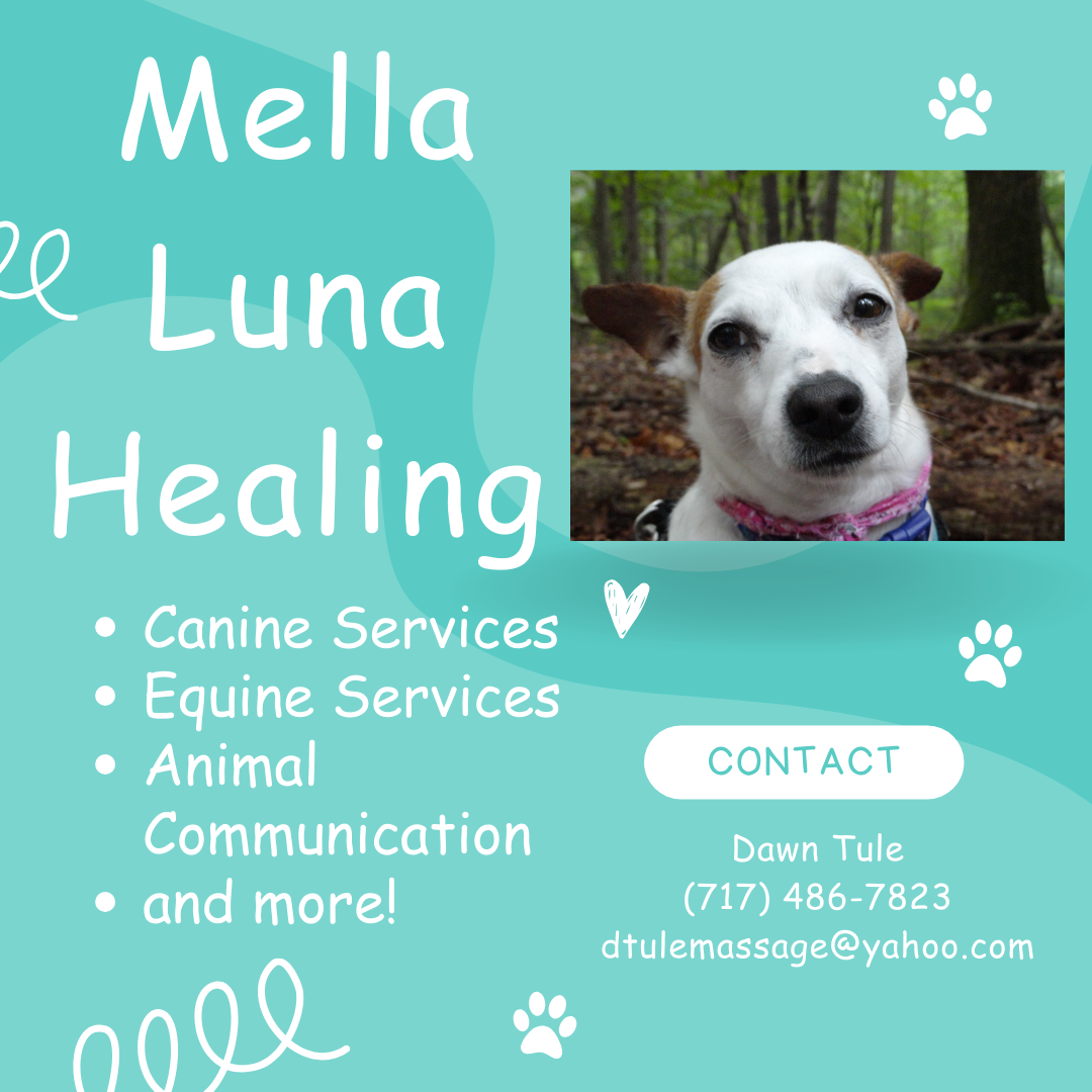 farmer girl web design portfolio mella luna healing