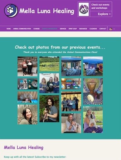 farmer girl web design portfolio mella luna healing