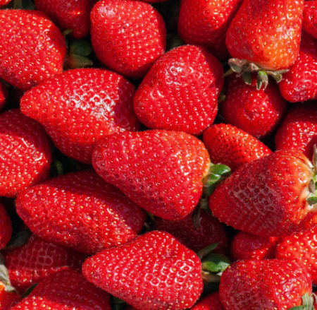 fraises locales