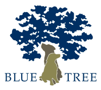 Hier geht es zur Homepage von Blue Tree
